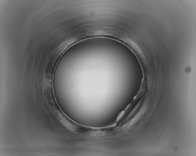 X0000094320793200711091340
