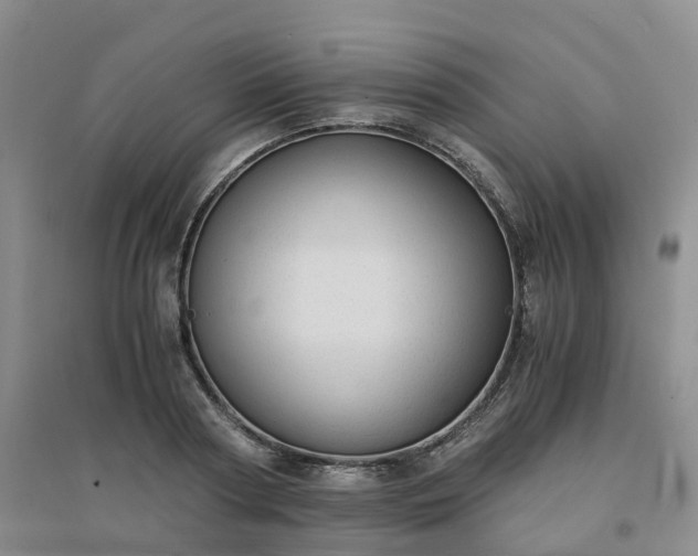 X0000094320794200711091340