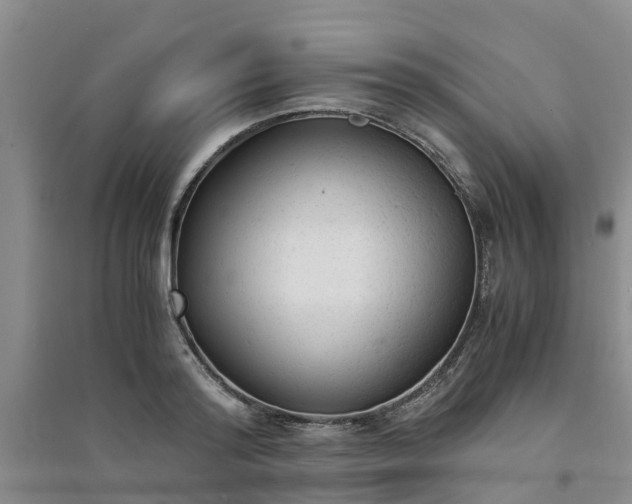 X0000094320796200711091340