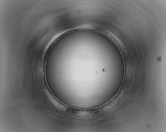 X0000094320800200711091340