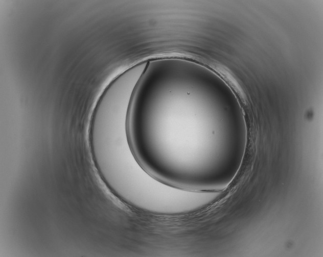 X0000094320805200711091340