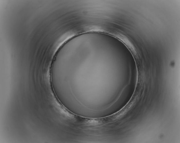 X0000094320806200711091340