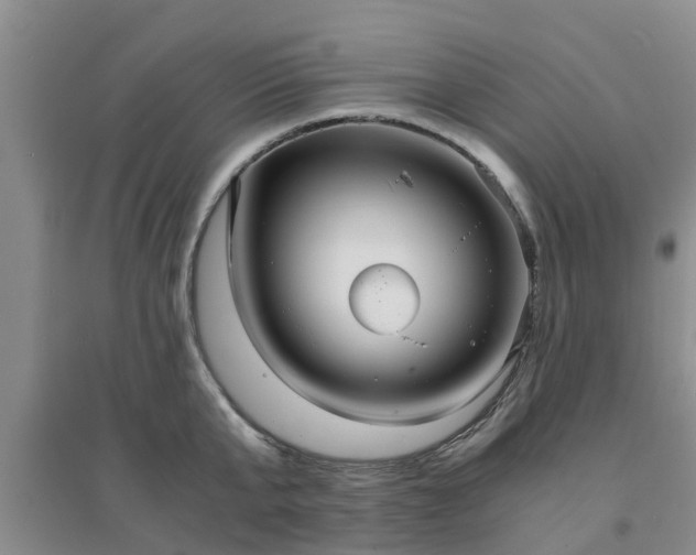 X0000094320807200711091340