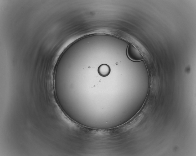 X0000094320808200711091340