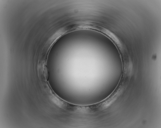 X0000094320809200711091340