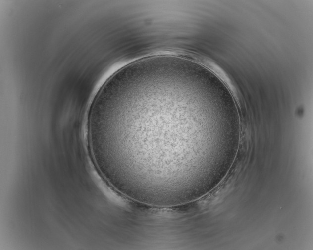 X0000094320811200711091340