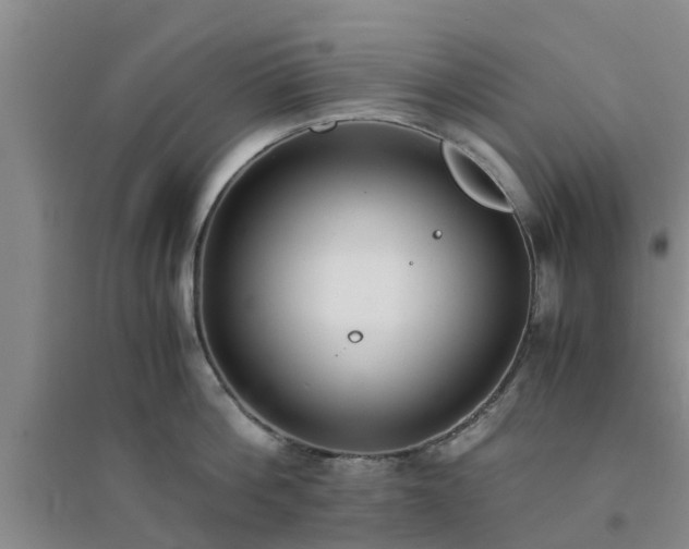 X0000094320812200711091340
