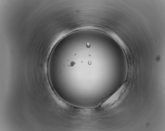 X0000094320813200711091340
