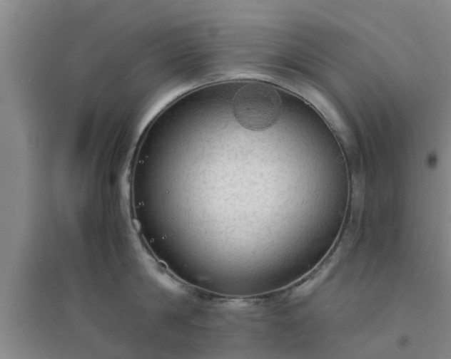 X0000094320814200711091340