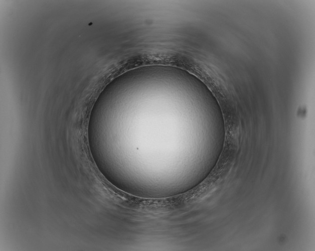 X0000094320817200711091339