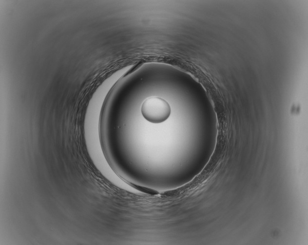 X0000094320818200711091339