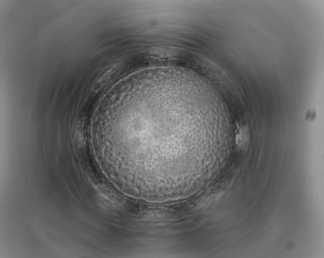 X0000094320819200711091339