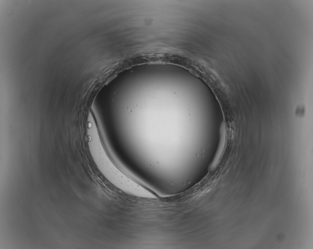X0000094320820200711091339