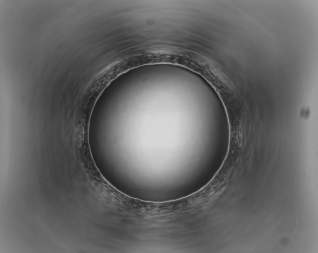 X0000094320821200711091339
