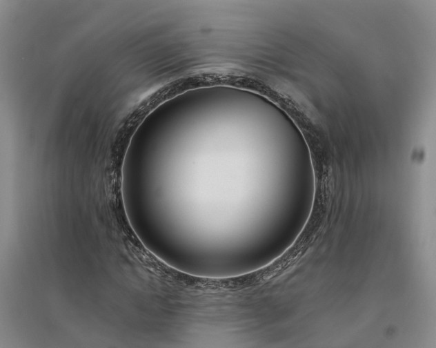 X0000094320822200711091339