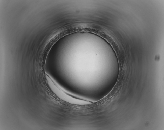 X0000094320823200711091339