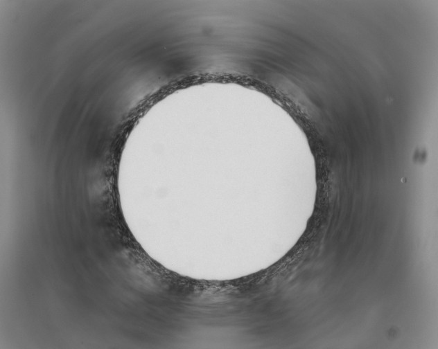 X0000094320824200711091339