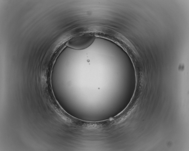 X0000094320826200711091339