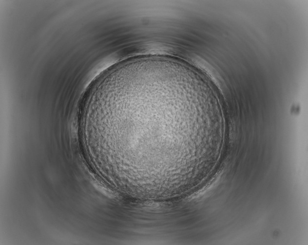 X0000094320827200711091339