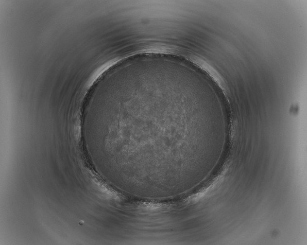 X0000094320829200711091340
