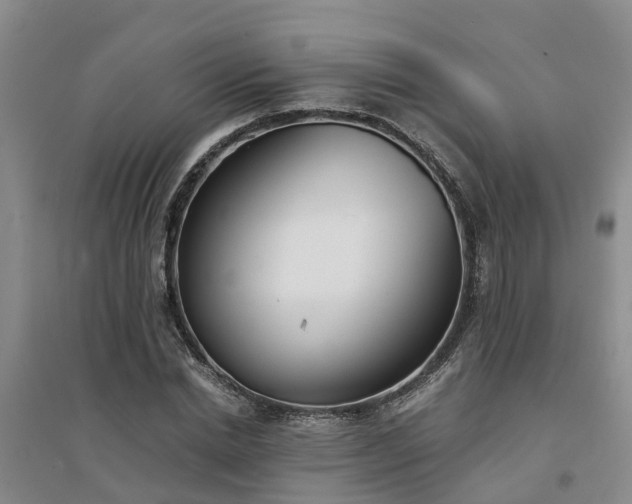 X0000094320830200711091340