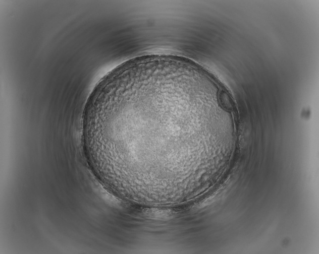 X0000094320831200711091340