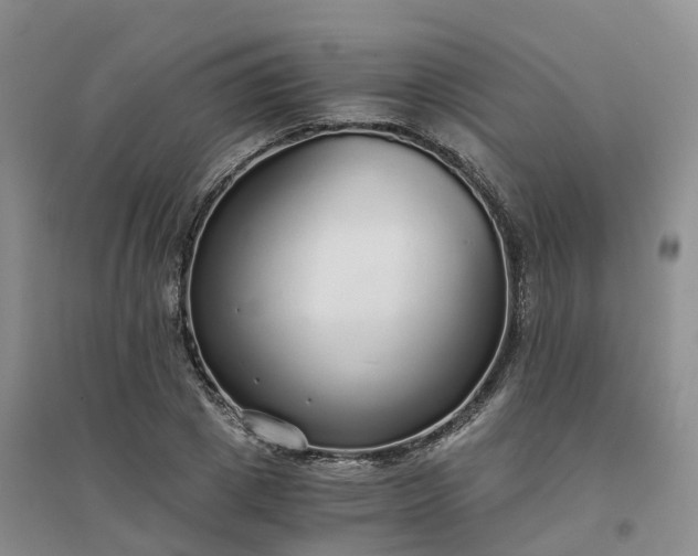 X0000094320833200711091340