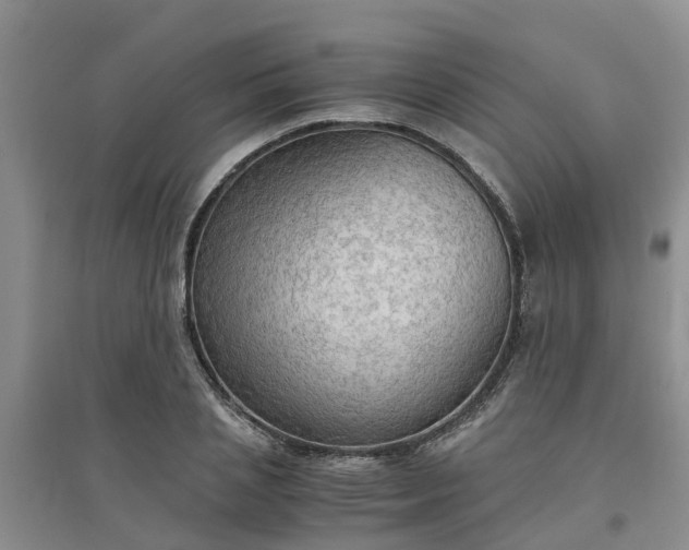 X0000094320837200711091340