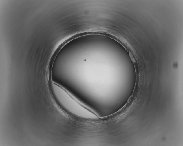X0000094320838200711091340