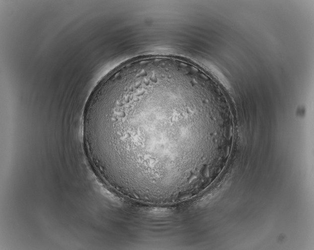 X0000094320839200711091340
