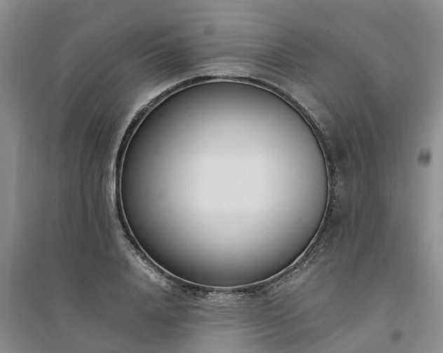 X0000094320840200711091340