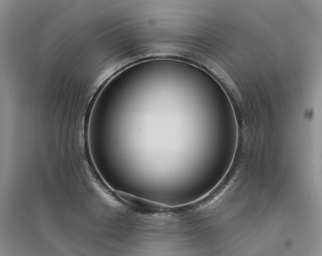 X0000094320842200711091340