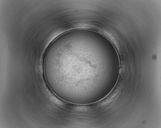 X0000094320843200711091340