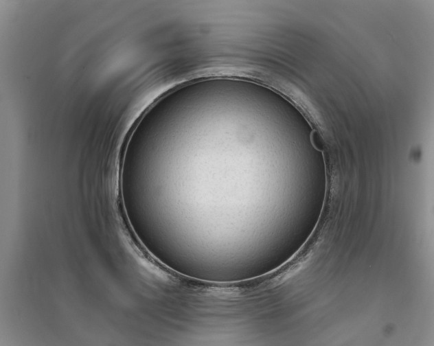 X0000094320844200711091340