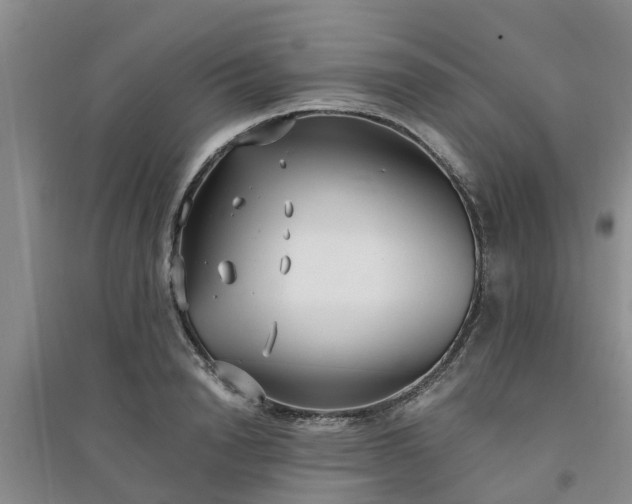 X0000094320846200711091340