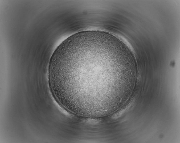 X0000094320847200711091340