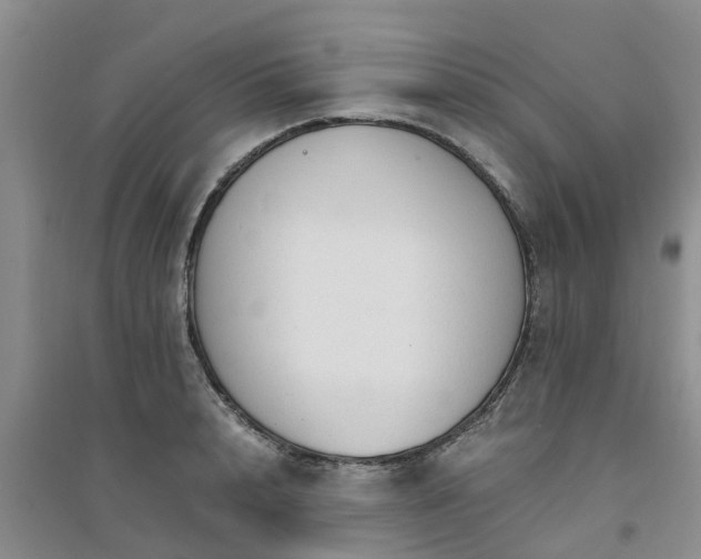 X0000094320848200711091340