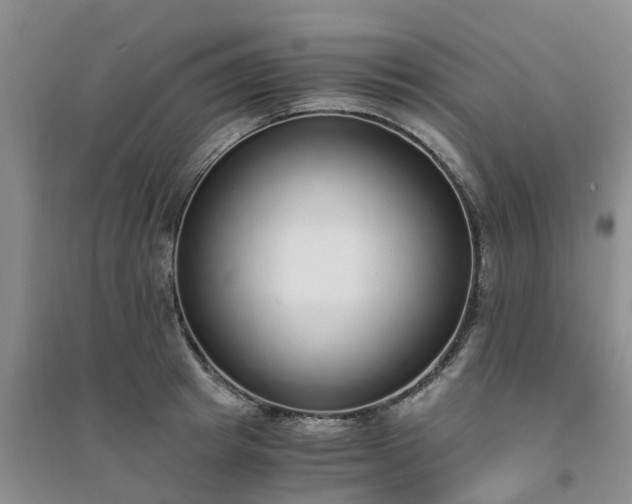 X0000094320849200711091340