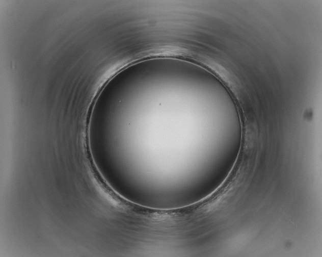 X0000094320850200711091340
