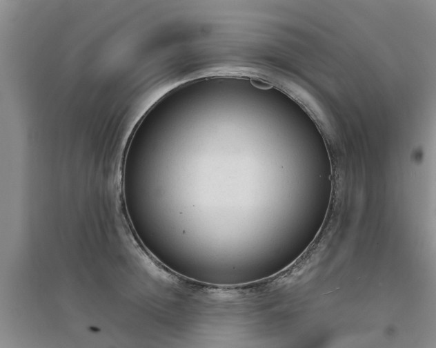 X0000094320852200711091340