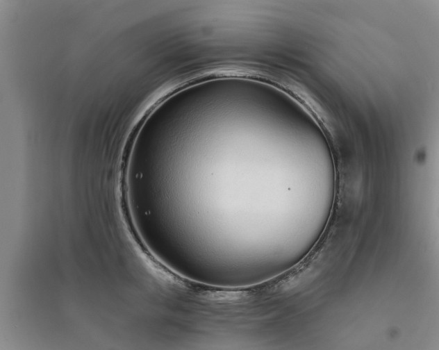 X0000094320853200711091340