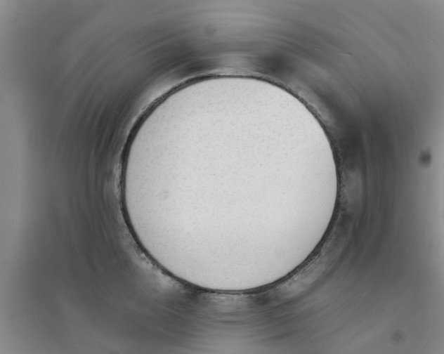 X0000094320856200711091340