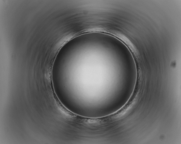 X0000094320857200711091340