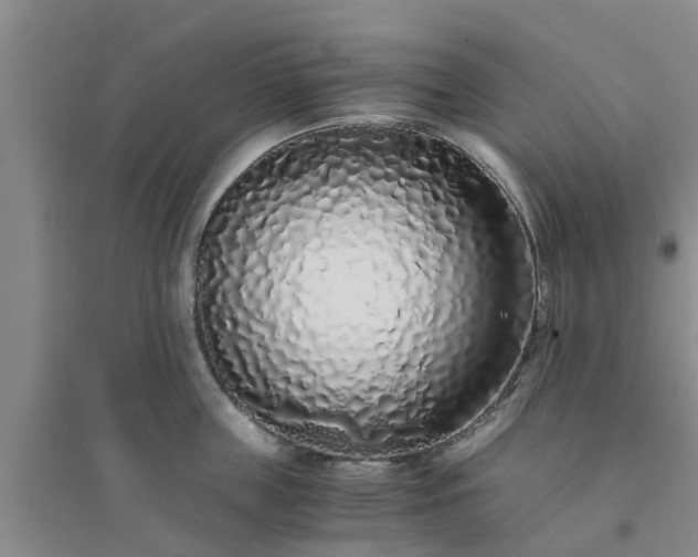 X0000094320859200711091340