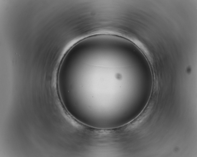 X0000094320862200711091340