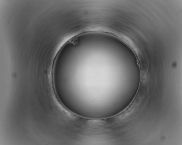 X0000094320863200711091340
