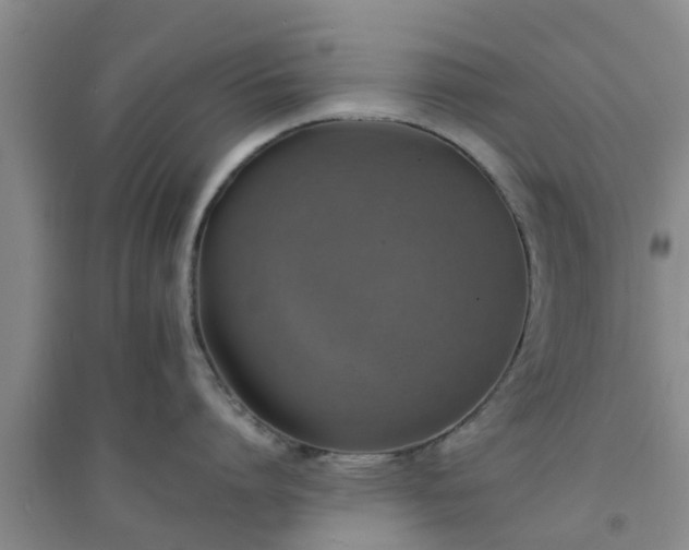 X0000094320864200711091340