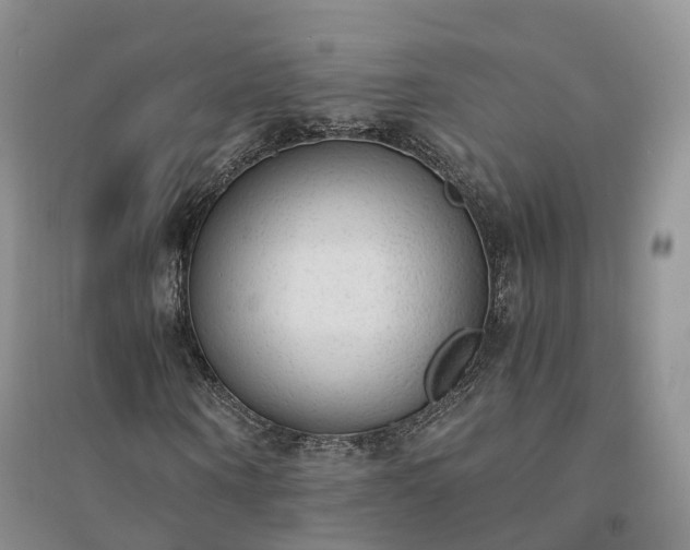 X0000094320866200711091339