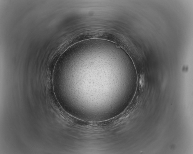 X0000094320867200711091339