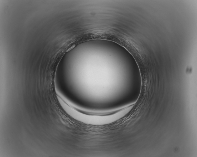 X0000094320868200711091339
